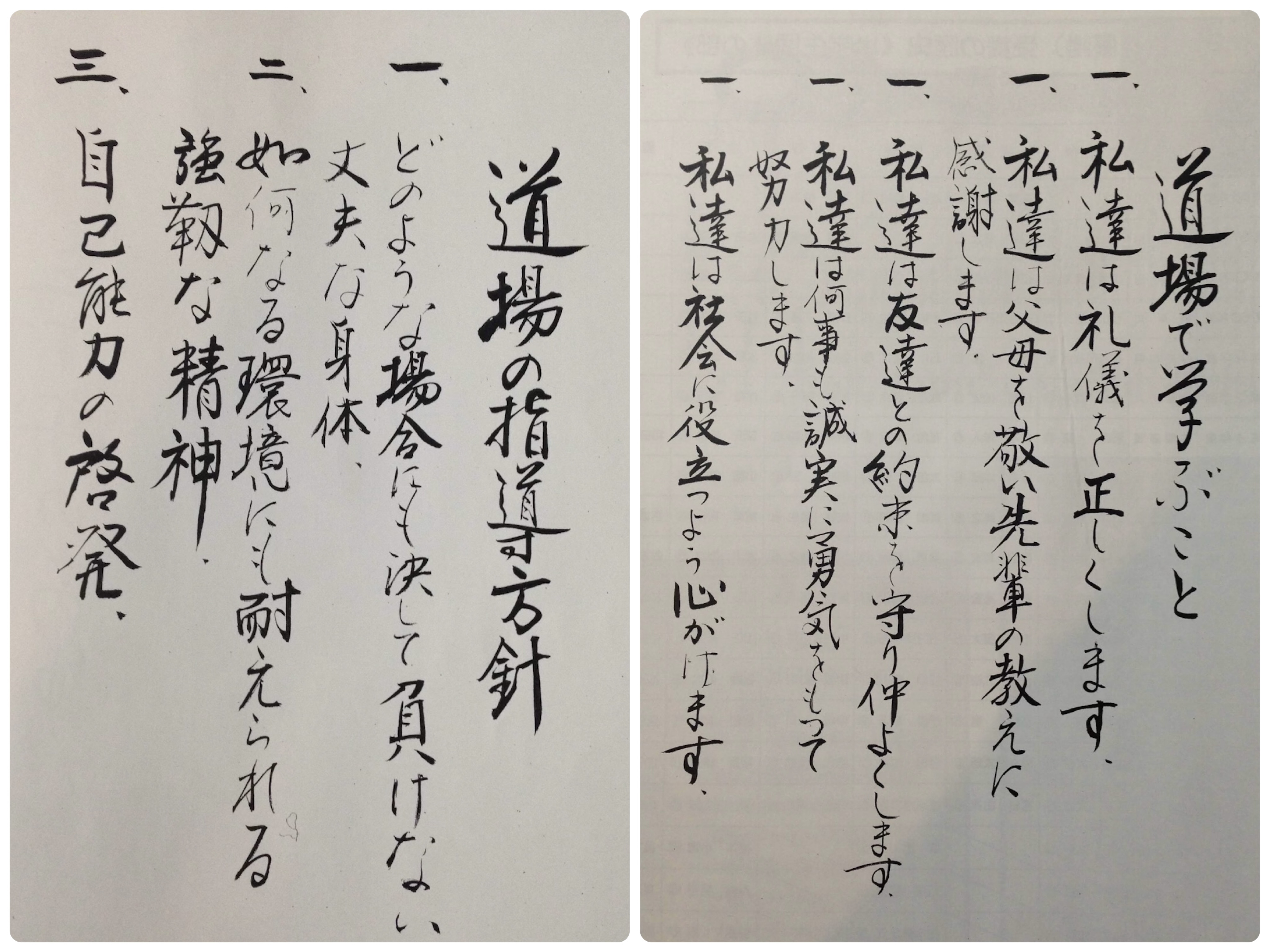 道場訓 / Dojo principles